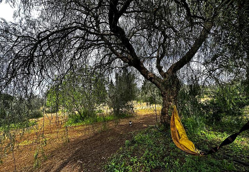 Salento Home Farm Bagnolo del Salento 外观 照片